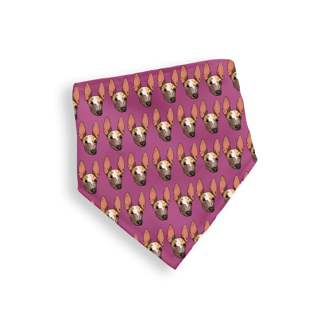 Bandana con Ilustración