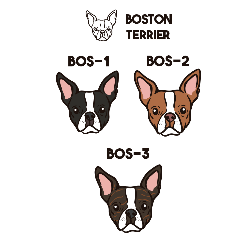 Boston Terrier Pechera