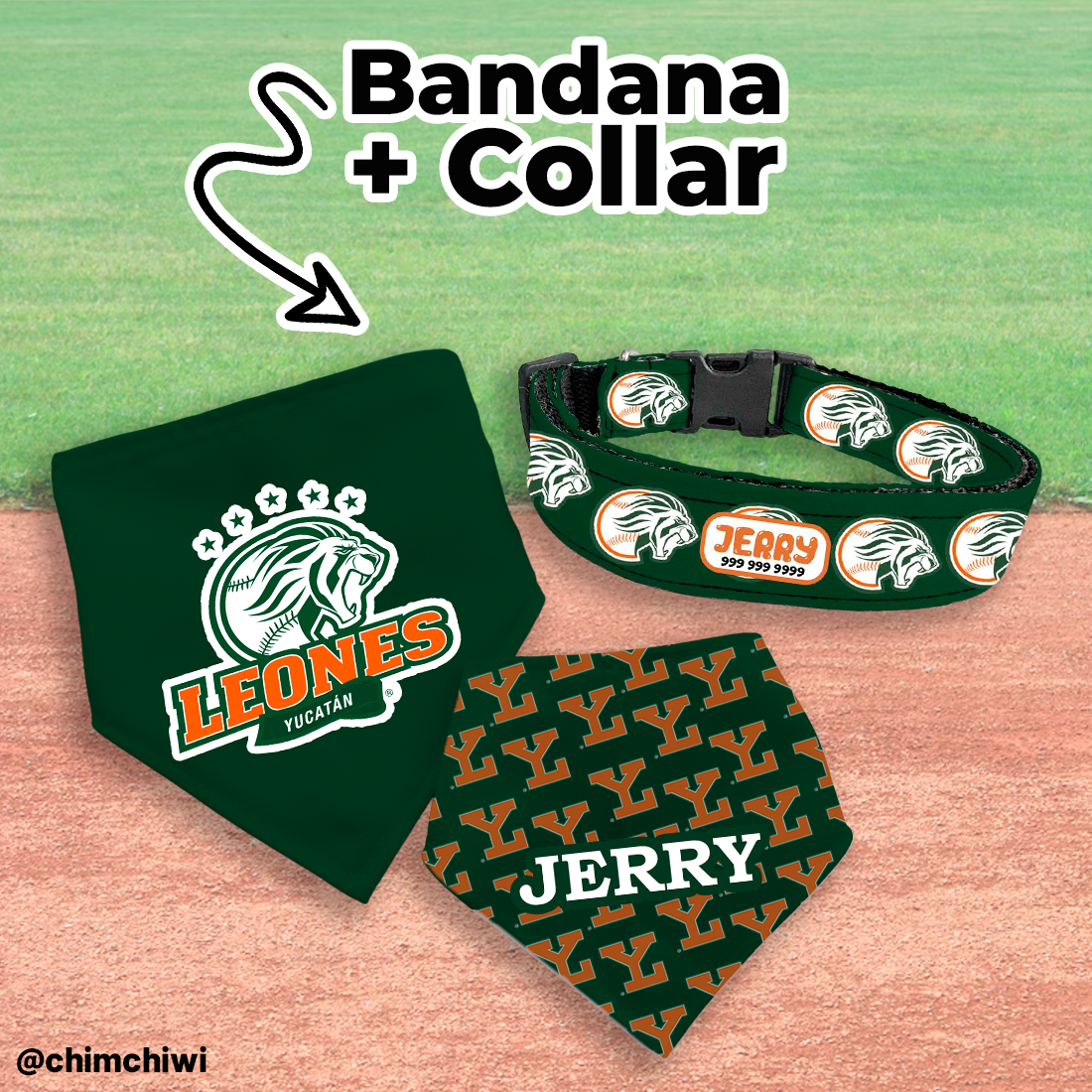 Kit - Leones de Yucatán