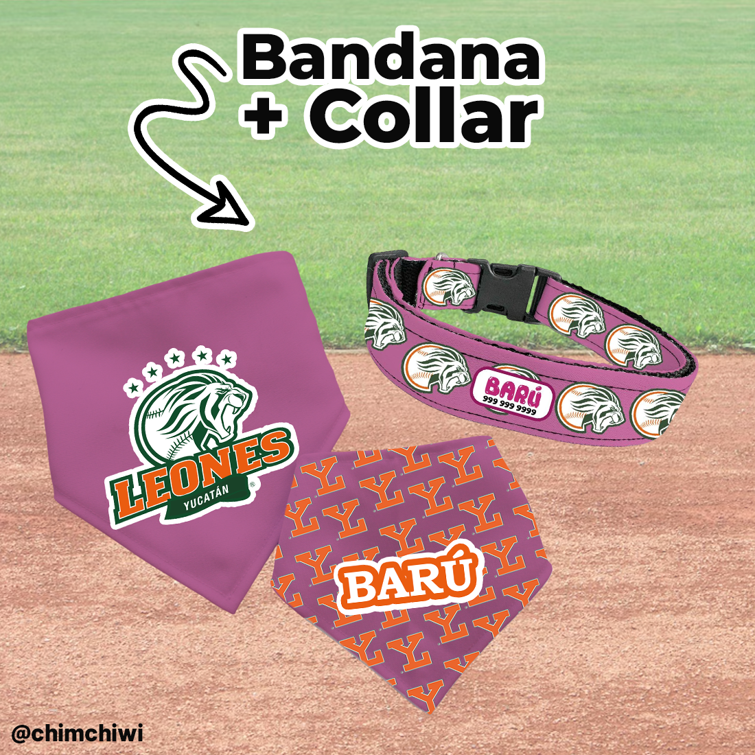 Kit - Leones de Yucatán
