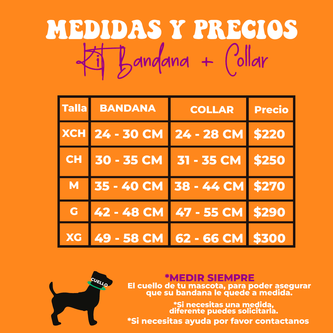 Kit - Leones de Yucatán