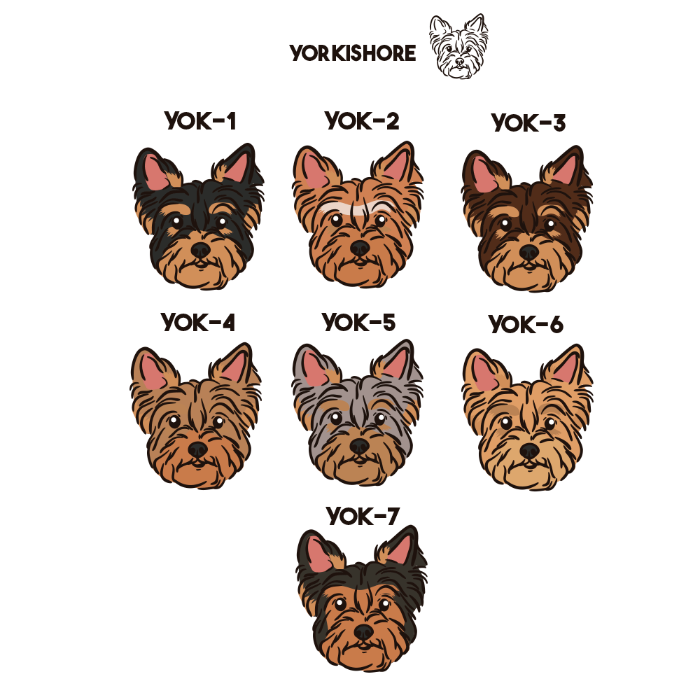 Yorkishire Terrier Pechera
