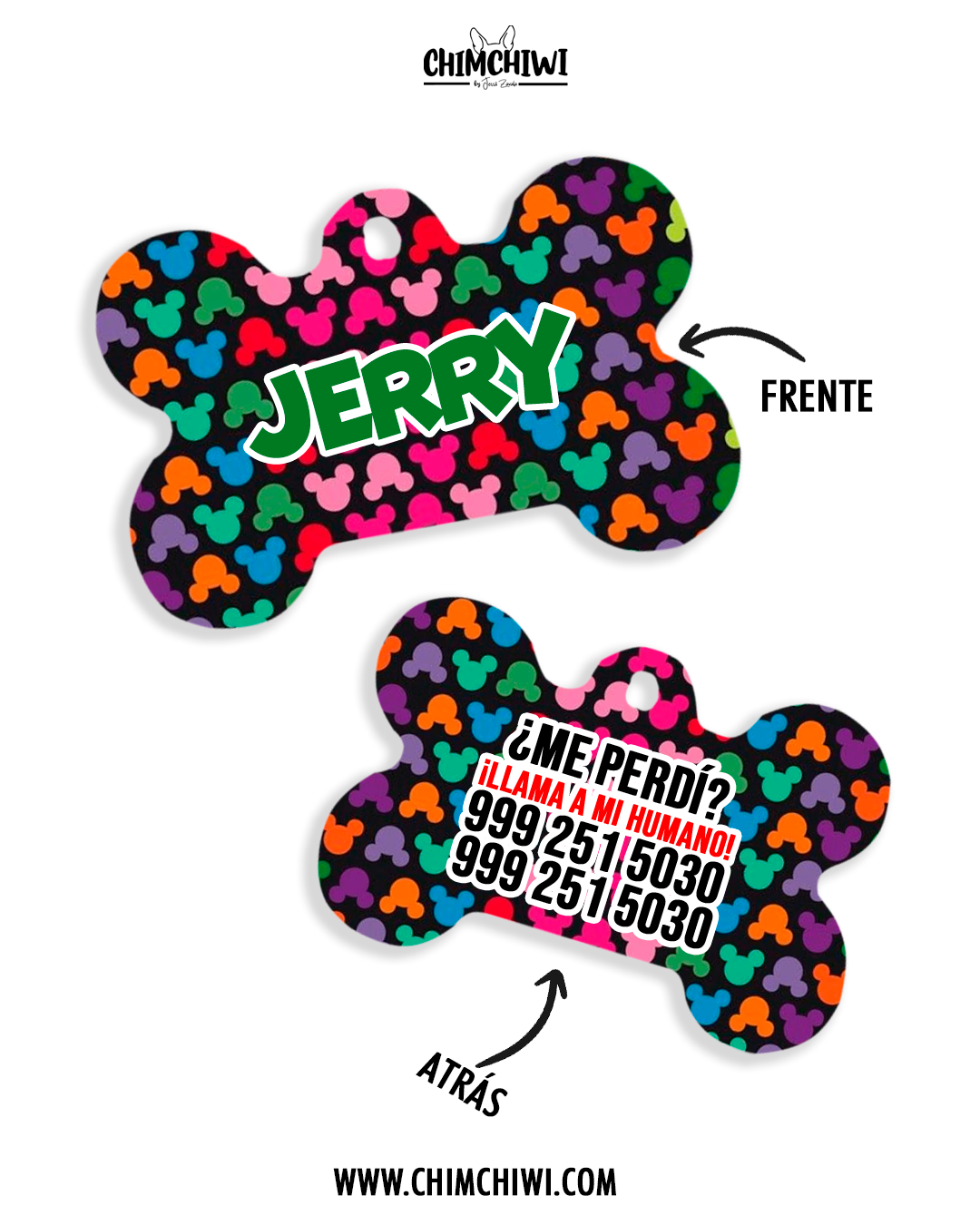 Placa Mickey Pride