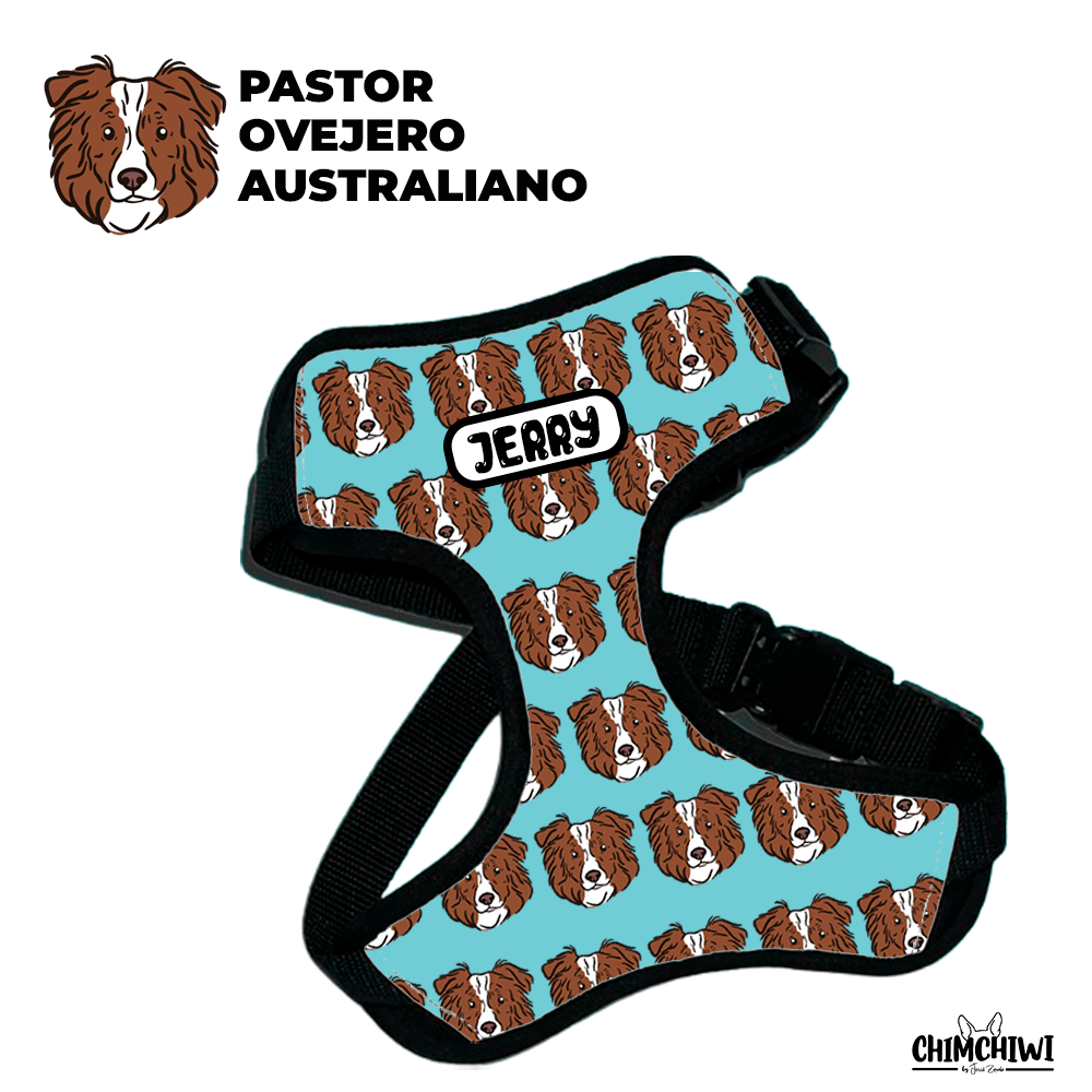Pastor Ovejero Australiano Pechera