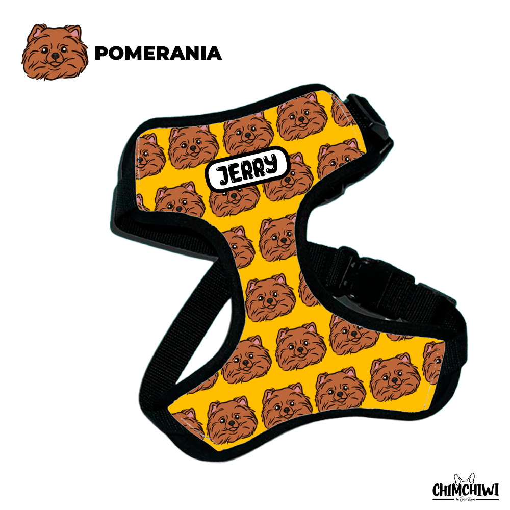 Pomerania Pechera