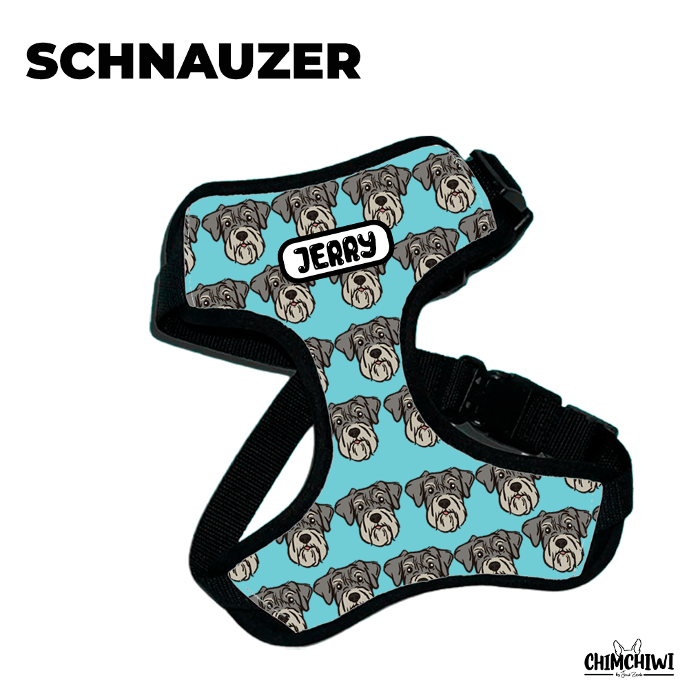 Schnauzer Pechera