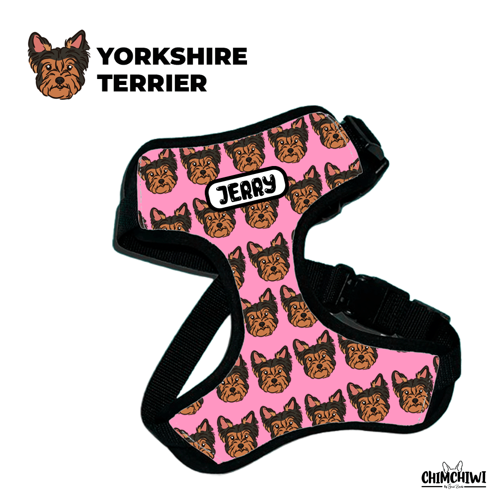 Yorkishire Terrier Pechera