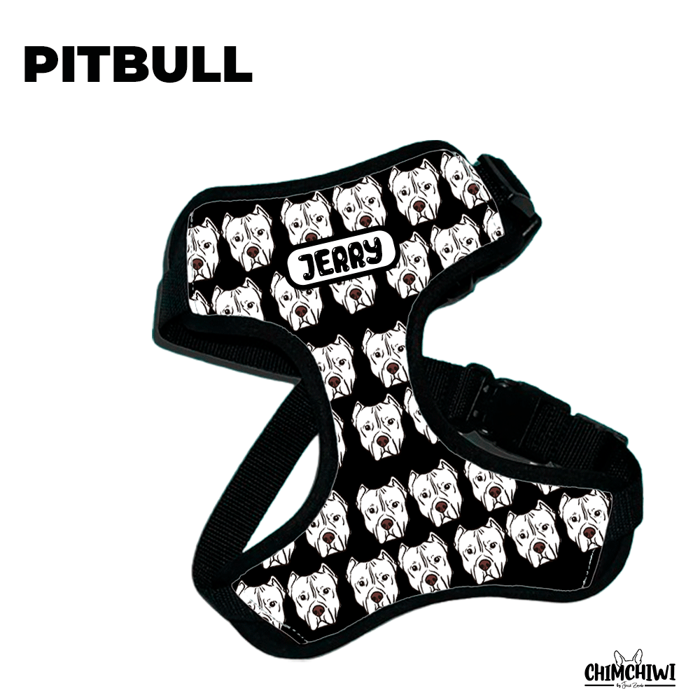 Pitbull Pechera