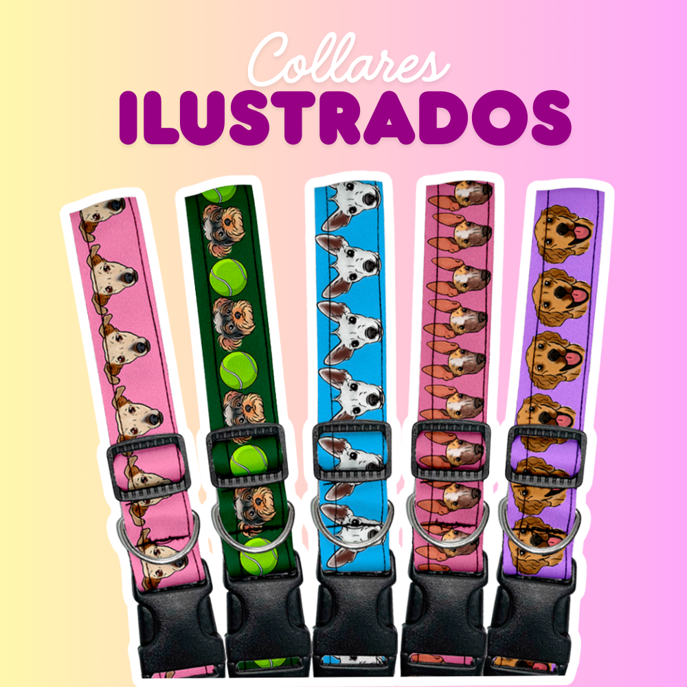 Collares Ilustrados