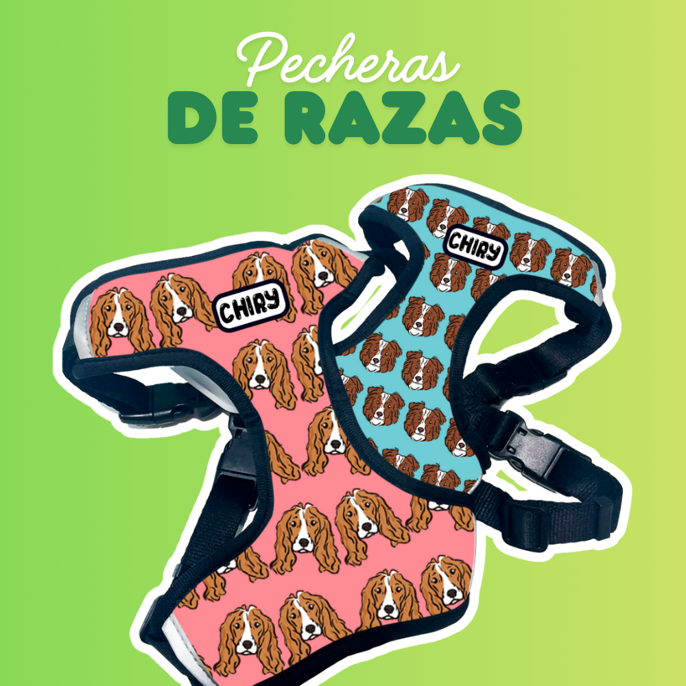 Pecheras de Razas
