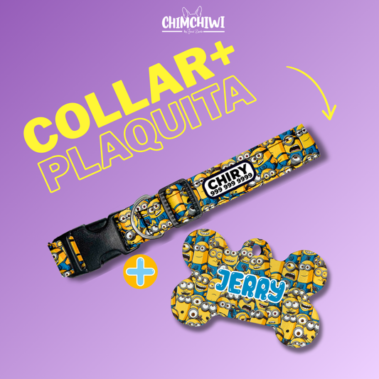 KIT COLLAR+PLAQUITA