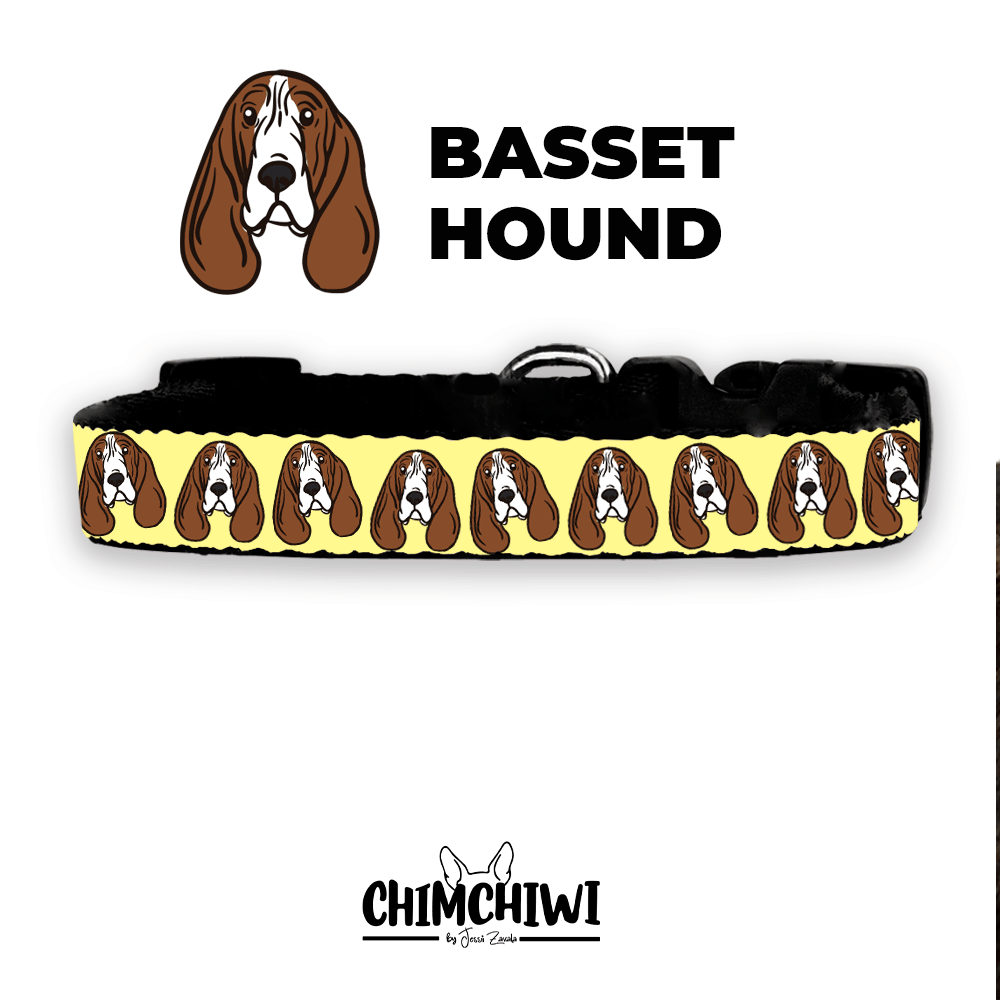 Basset Hound Collar