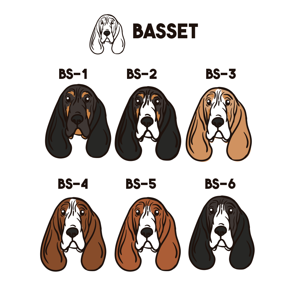 Basset Hound Pechera