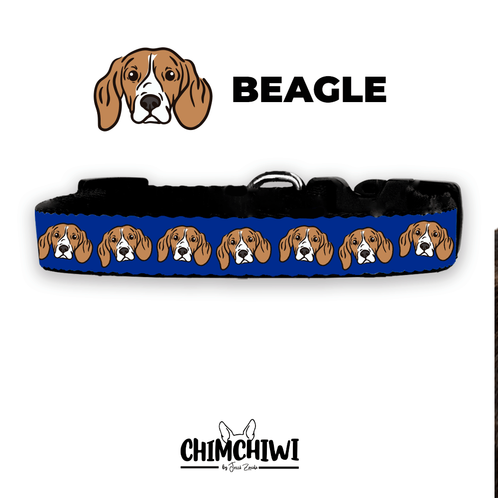 Beagle Collar