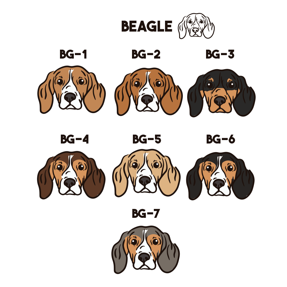 Beagle Collar