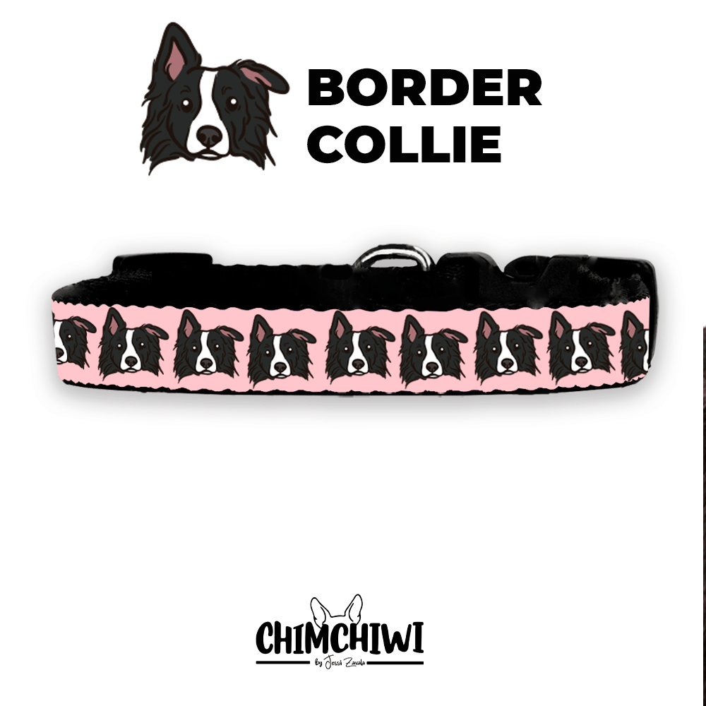 Border Collie Collar