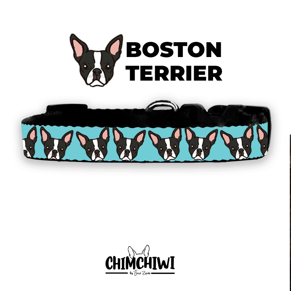 Boston Terrier Collar