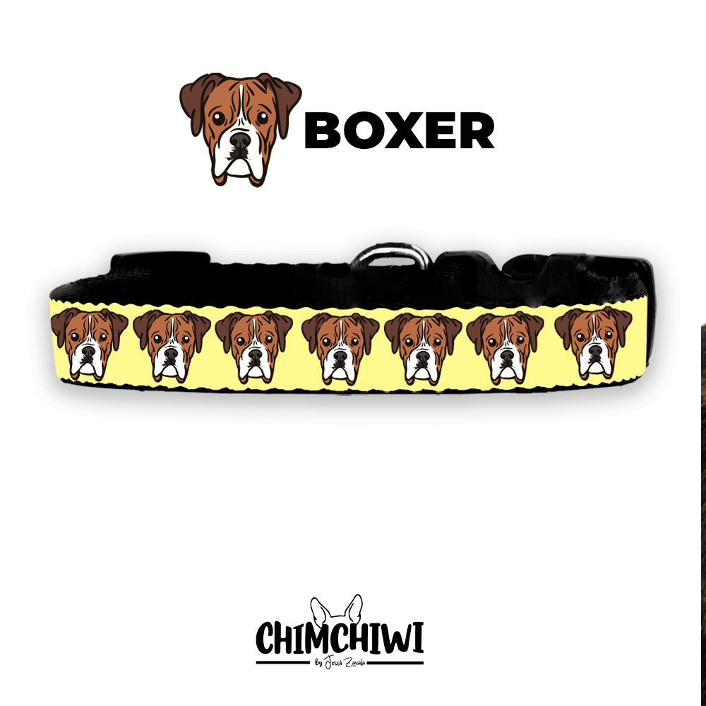 Boxer Collar