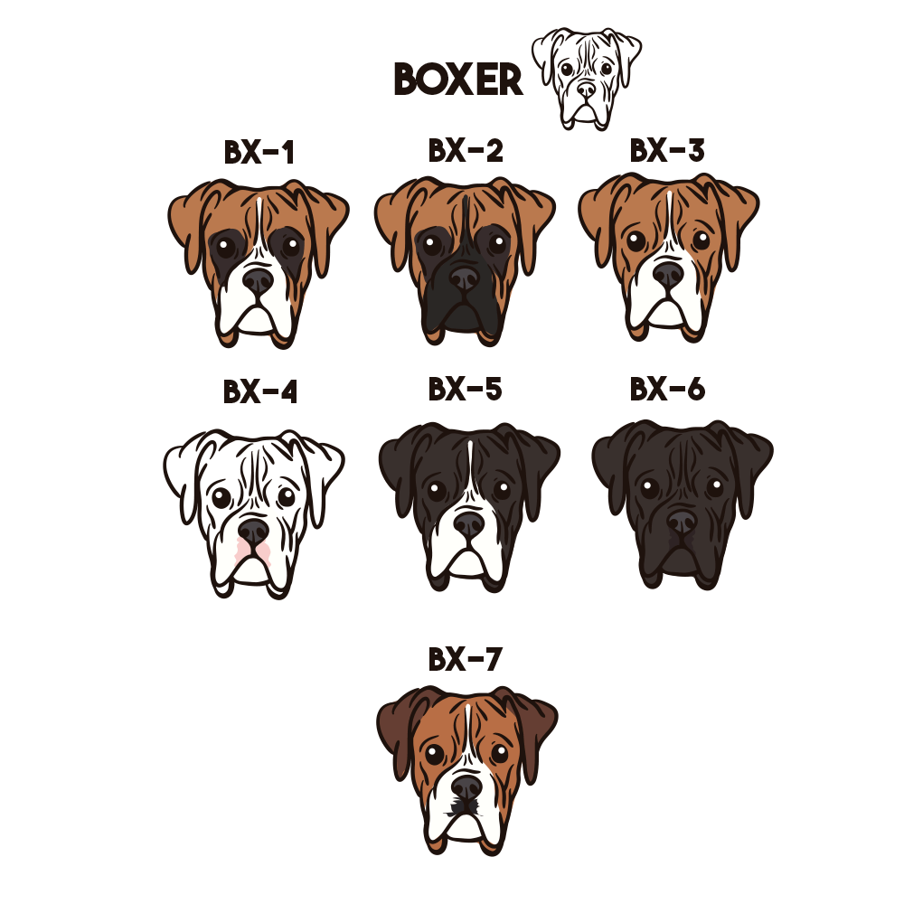 Boxer Collar