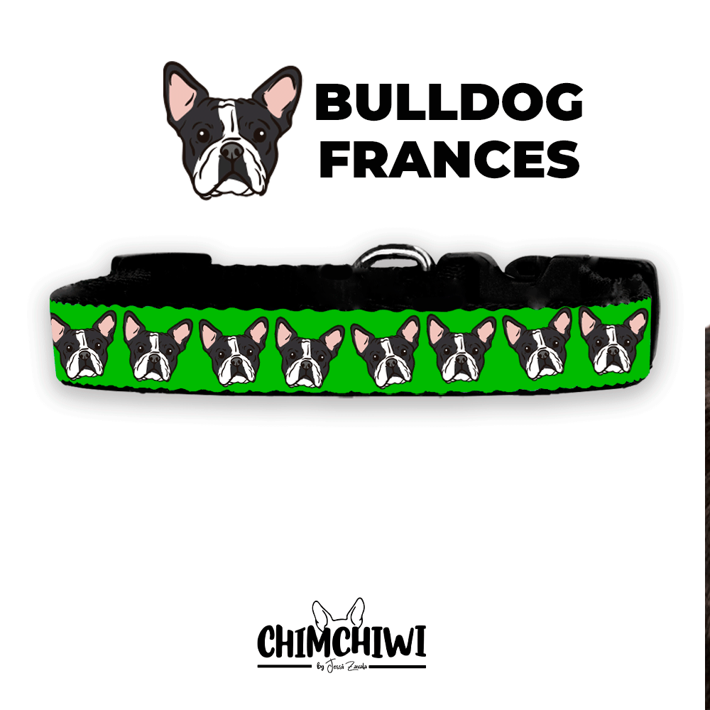 Bulldog Frances Collar