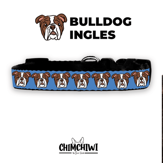 Bulldog Ingles Collar