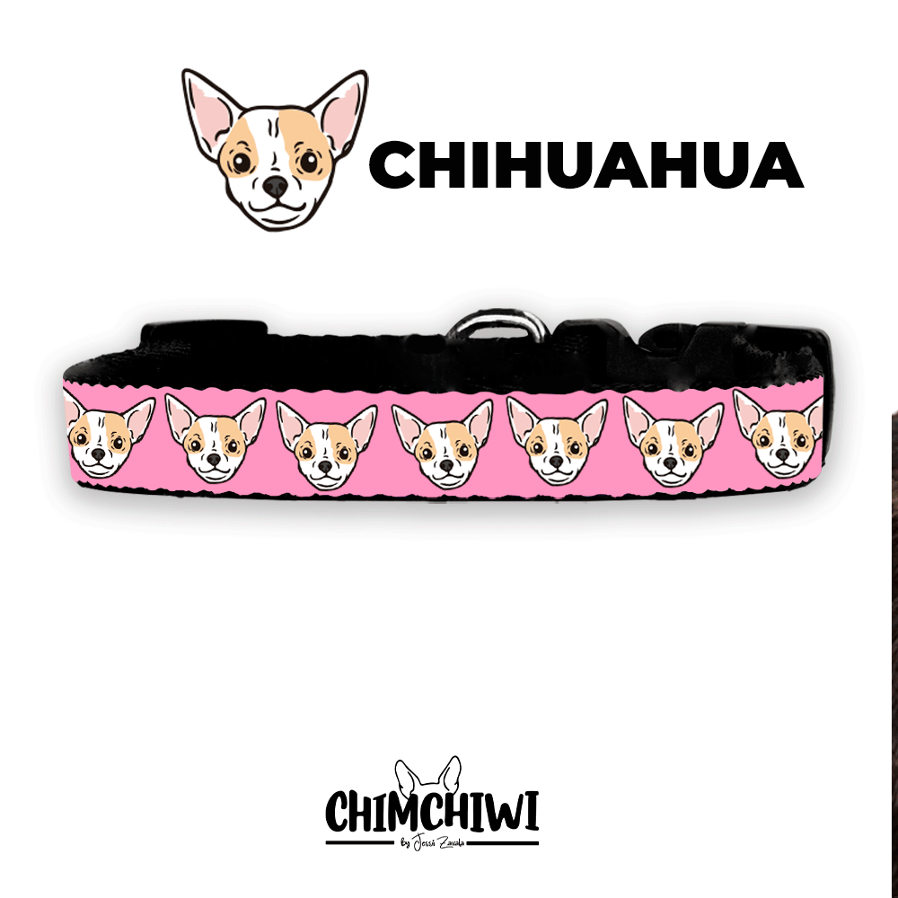 Chihuahueño Collar