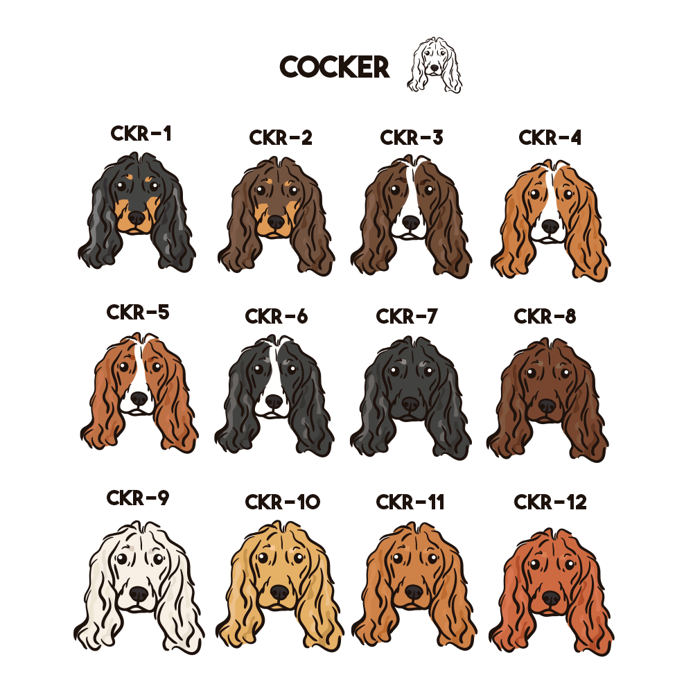 Cocker Spaniel Pechera