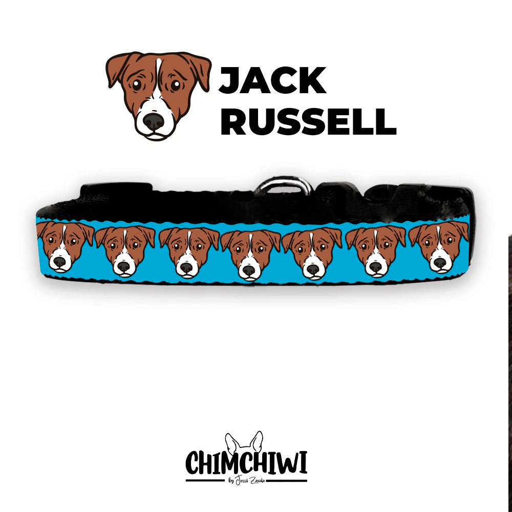 Jack Rusell Collar