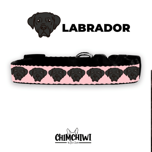 Labrador Collar