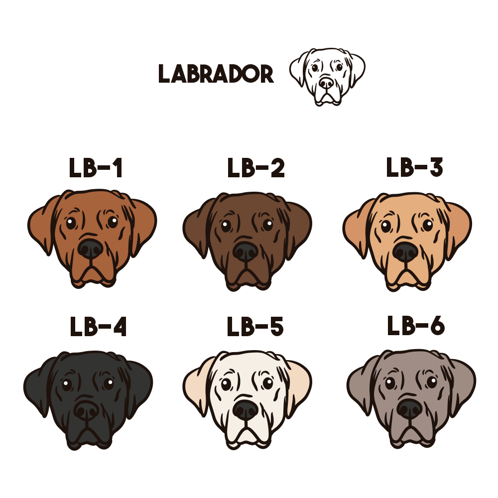 Labrador Pechera