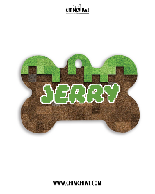 Placa Minecraft