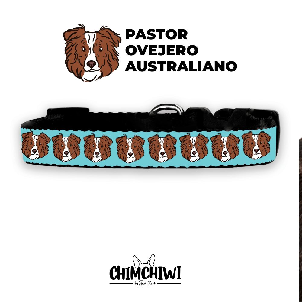 Pastor Ovejero Australiano Collar