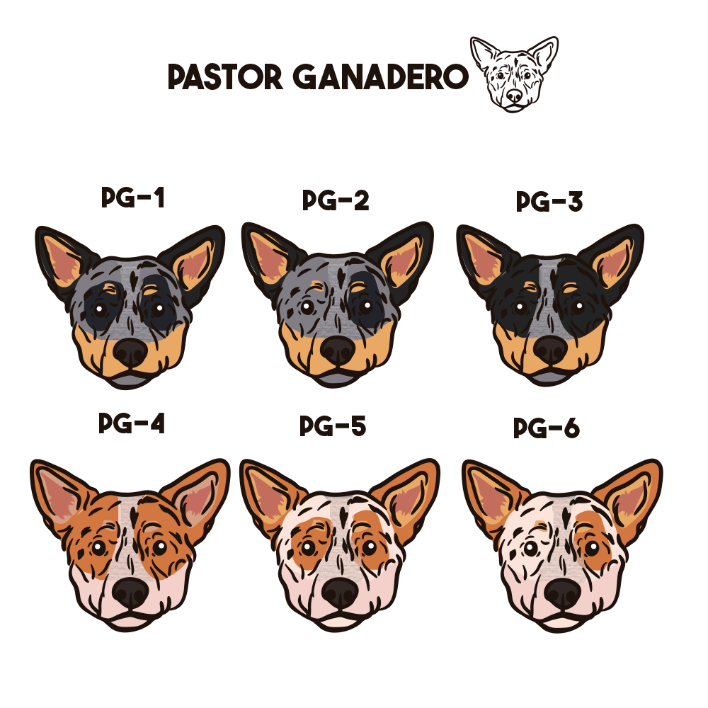 Pastor Ganadero Australiano Pechera