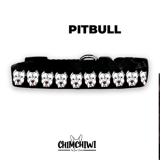 Pitbull Collar