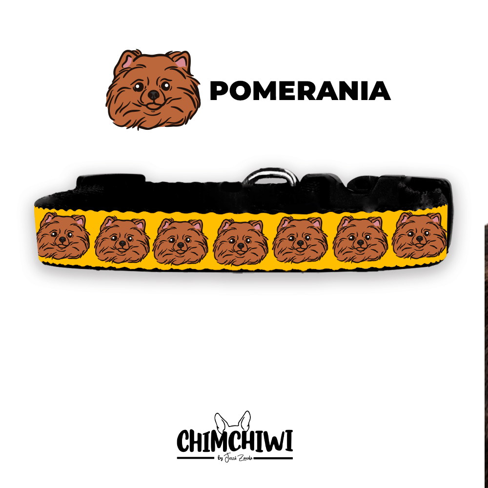 Pomerania Collar