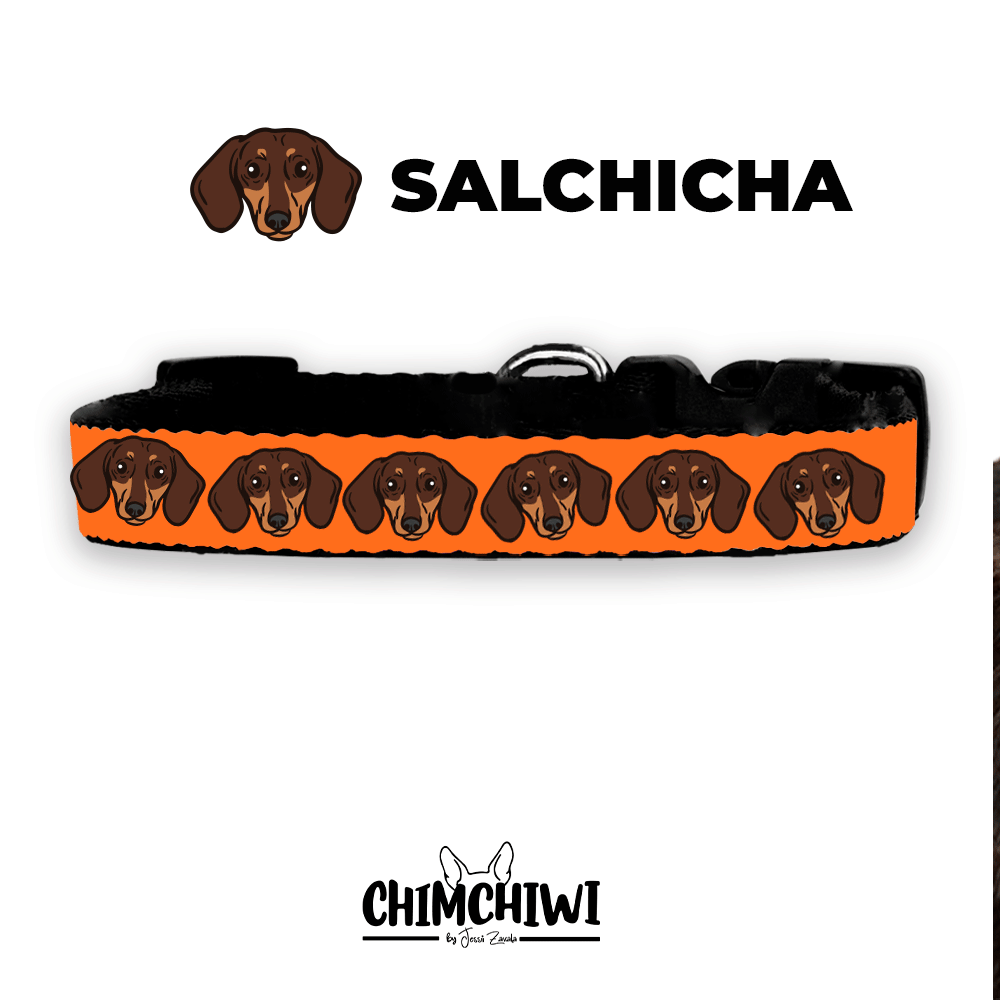 Salchicha Collar