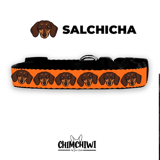 Salchicha Collar