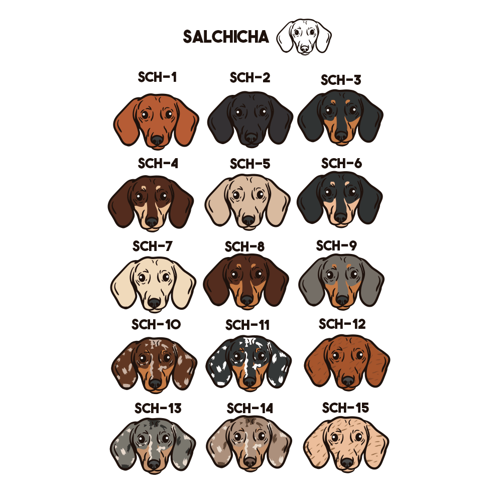 Salchicha Collar