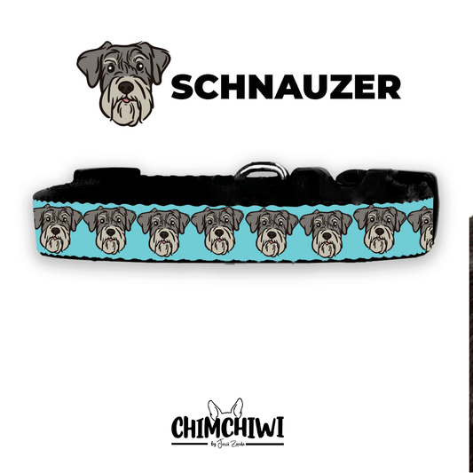 Schnauzer Collar