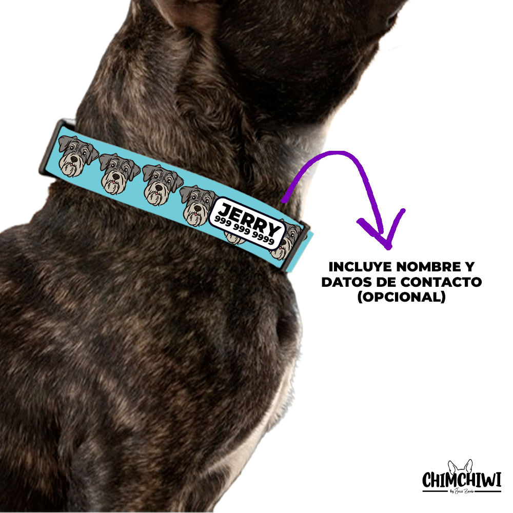 Schnauzer Collar