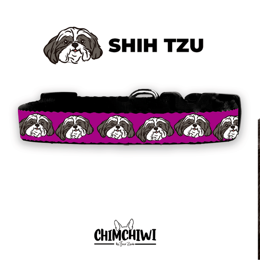 Shih Tzu Collar