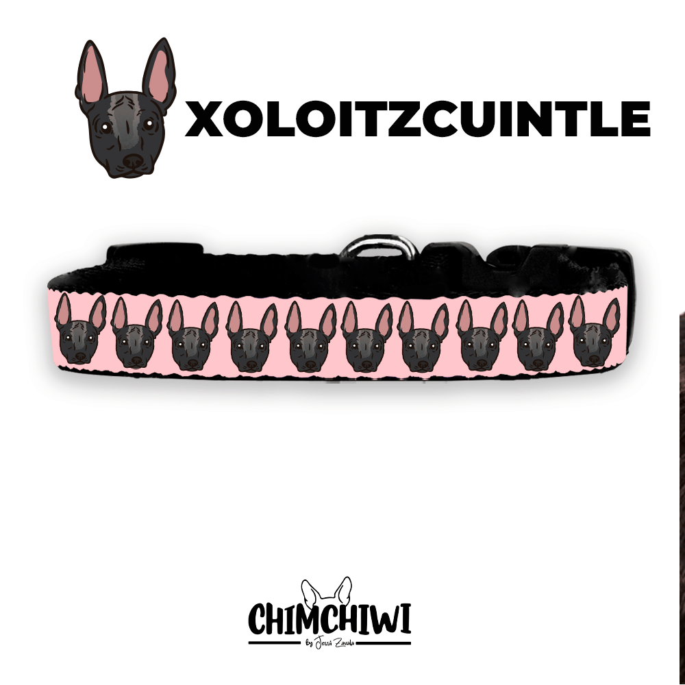 Xoloitzcuintle Collar