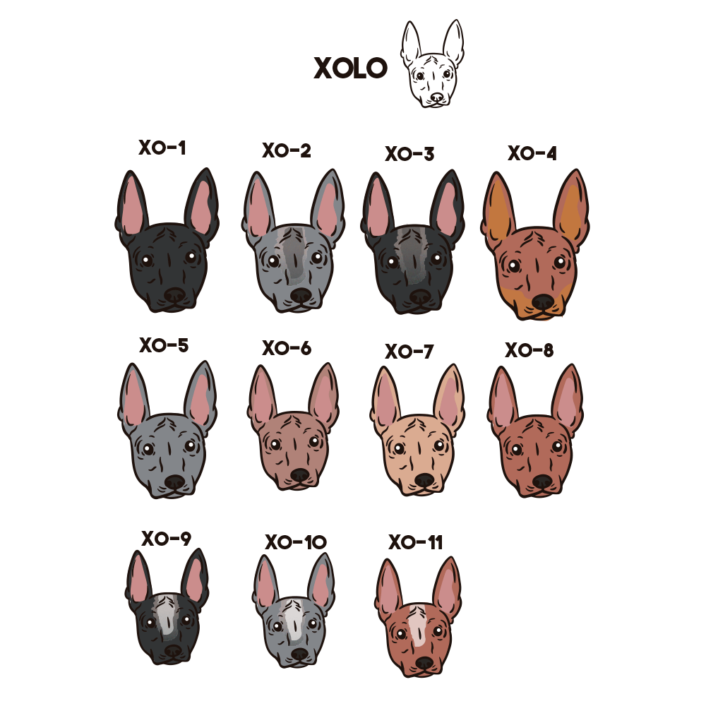 Xoloitzcuintle Collar