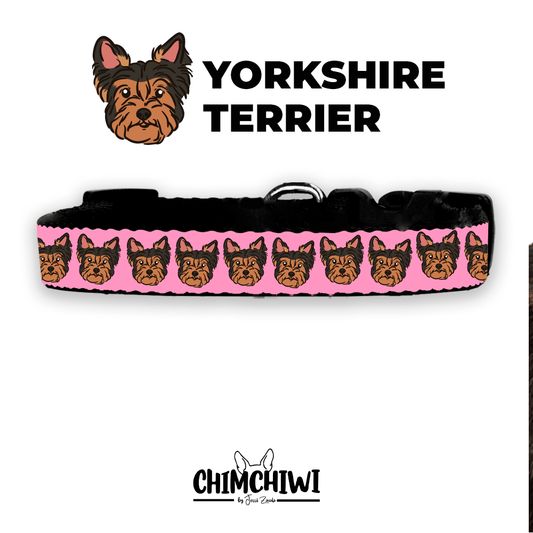 Yorkshire Terrier Collar