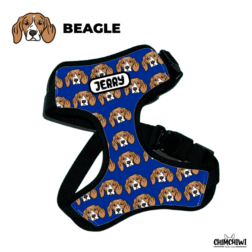 Beagle Pechera