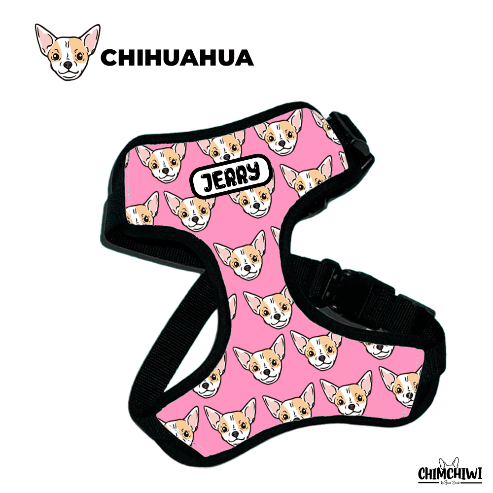 Chihuahua Pechera