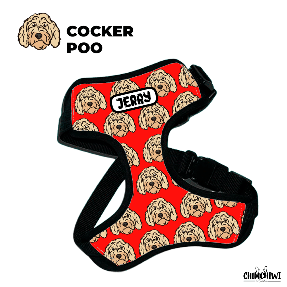 Cocker Poo Pechera