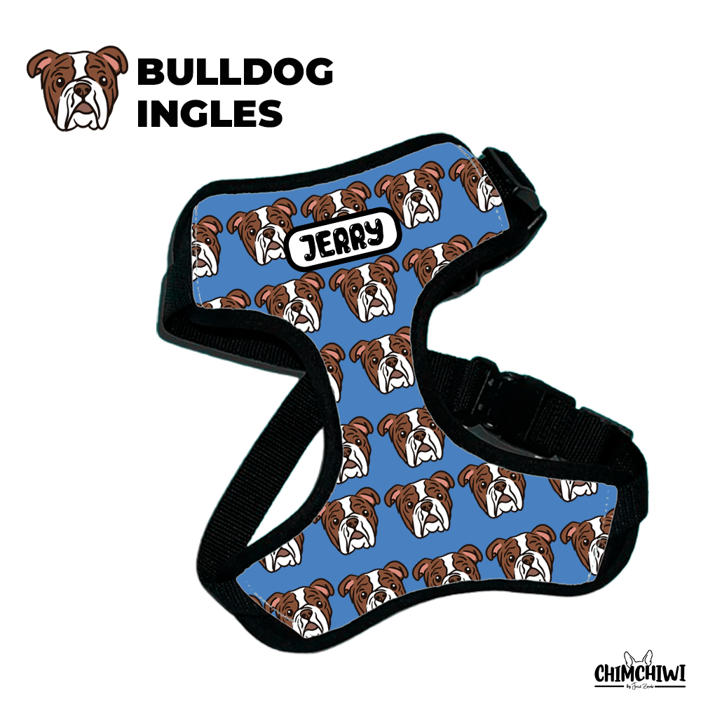 Bulldog Ingles Pechera