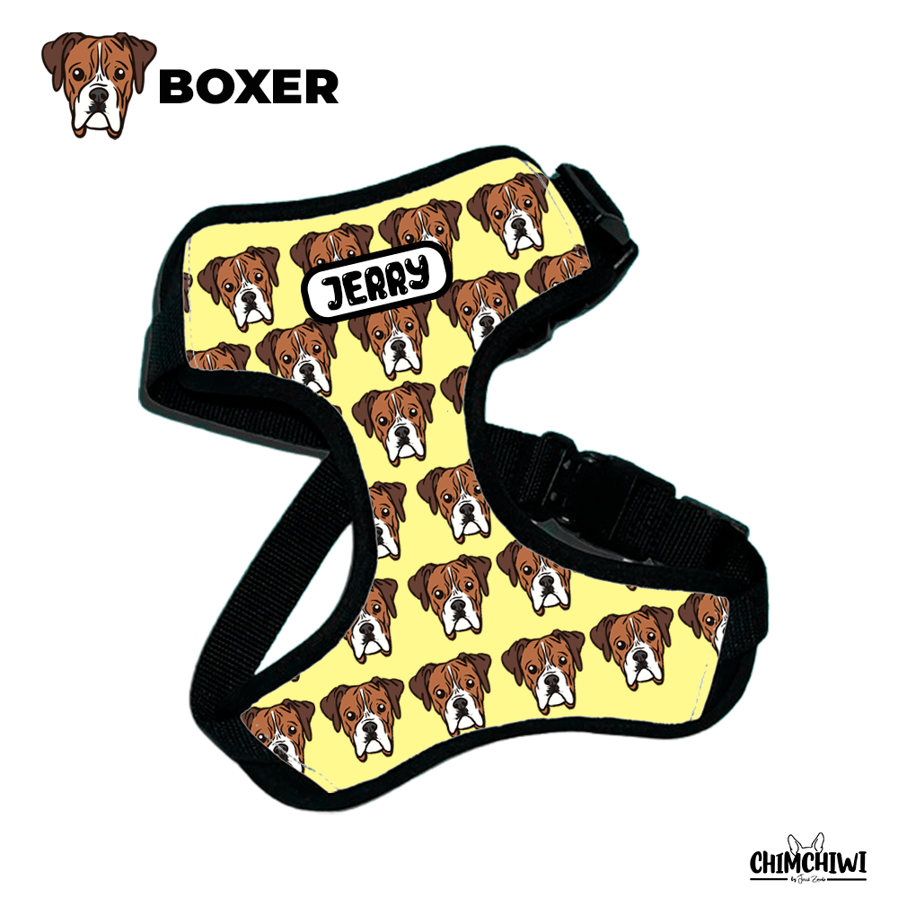 Boxer Pechera