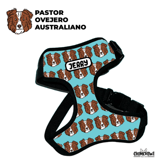 Pastor Ovejero Australiano Pechera